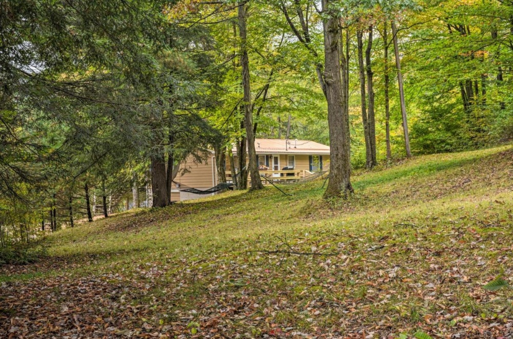 Great Valley Mtn House on 30 Acres with Pond and Grill Image 6