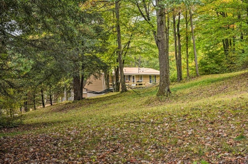 Great Valley Mtn House on 30 Acres with Pond and Grill image 6