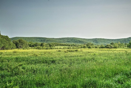 Great Valley Mtn House on 30 Acres with Pond and Grill image 11